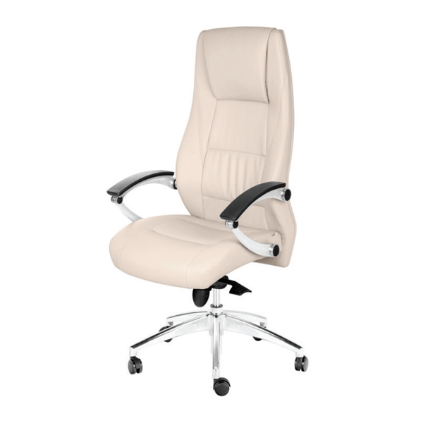 صندلی مدیریتی SKY مدل MS870S از برند داتیس را می توانید با بالا ترین کیفیت و استاندراد های لازمه برای خودتان سفارشی سازی کنید.